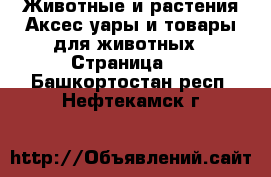 Животные и растения Аксесcуары и товары для животных - Страница 2 . Башкортостан респ.,Нефтекамск г.